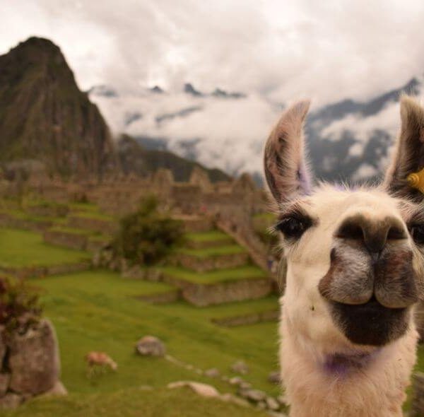 Machu Picchu, amanecer inca