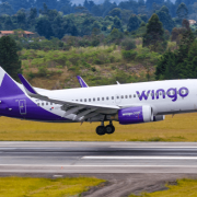 Wingo