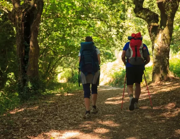 Peregrinaciones: viajar con propósito en un mundo que va demasiado rápido
